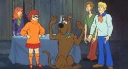 Kids Cartoons