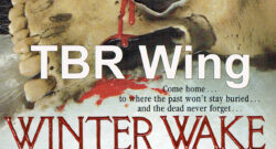 TBR Wing Winter Wake header